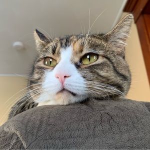 Meet your Posher, Christian